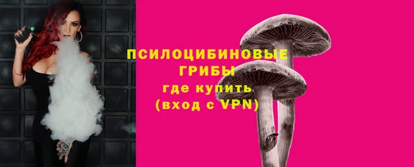 apvp Армянск