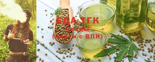 гашик Аркадак