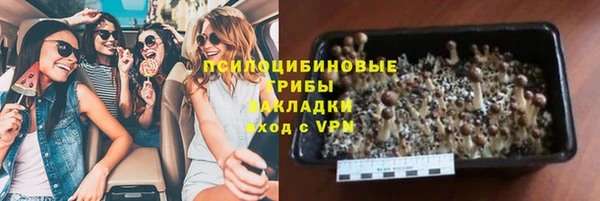 гашик Аркадак