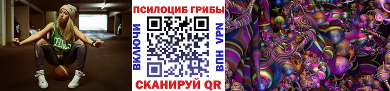 KRAKEN ссылки  Георгиевск  Псилоцибиновые грибы Magic Shrooms  закладки 