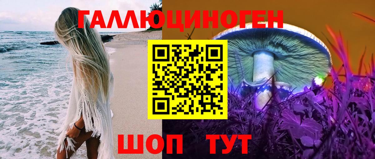 Георгиевск  где купить наркоту  Вход с VPN  Псилоцибиновые грибы мухоморы  Галлюциногенные грибы Psilocybe 